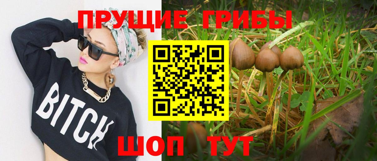закладки  Вход с VPN  Коркино  Галлюциногенные грибы Magic Shrooms 